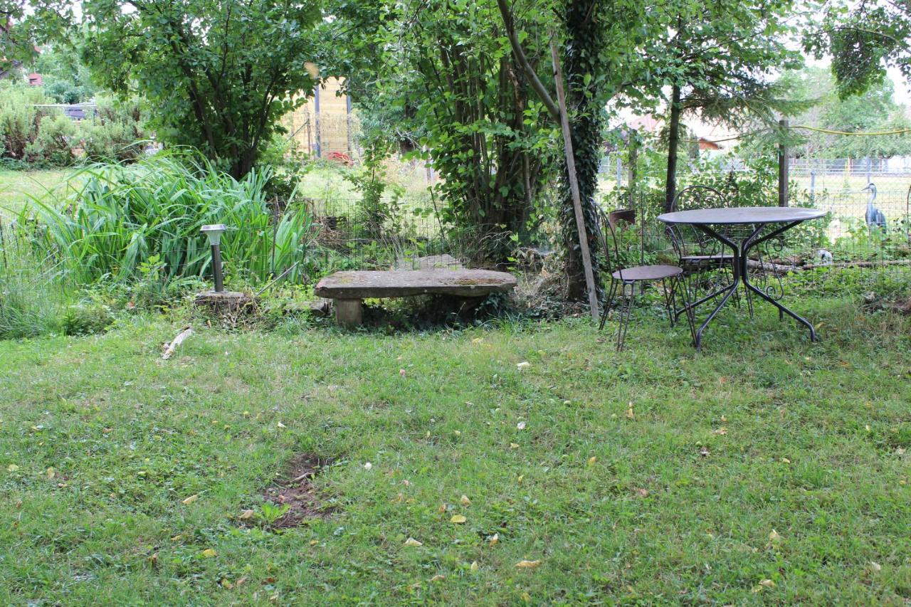 Gites Riviere Et Colline Niedermodern Kültér fotó